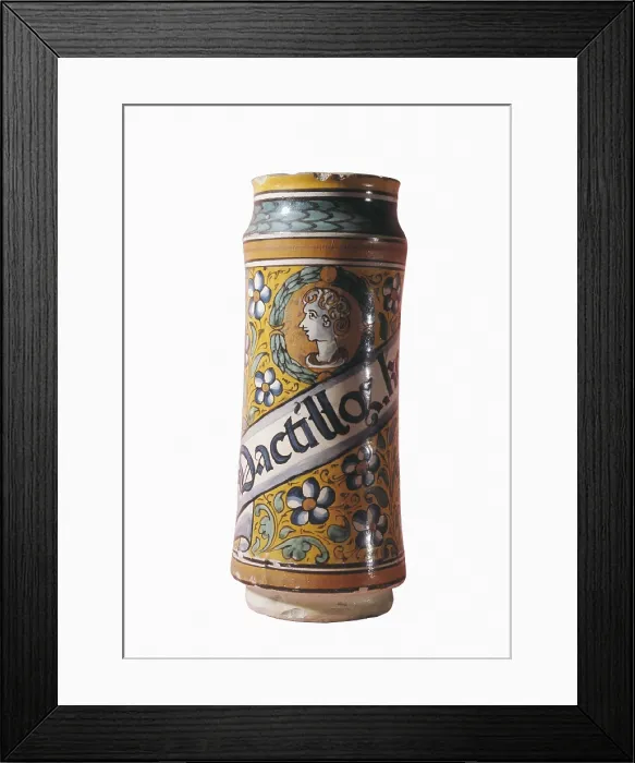 Framed Print : Catalan pharmacy pot (17th-18th c.). Ceramics. SPAIN. Vic. Vic Episcopal Museum. AISA / Everett Collection**US SALES ONLY**