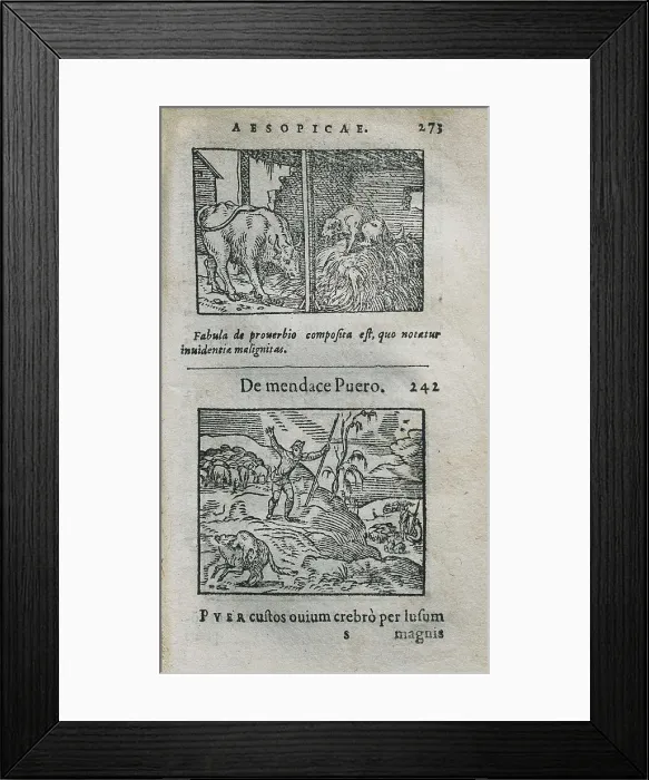 Framed Print : ESOPUS (650-560 BC). 'Fables'. Latin edition carried put in Leyden in 1579. Fable of The Shepherd Boy and the Wolf or The Boy Who Cried Wolf. SPAIN. Barcelona