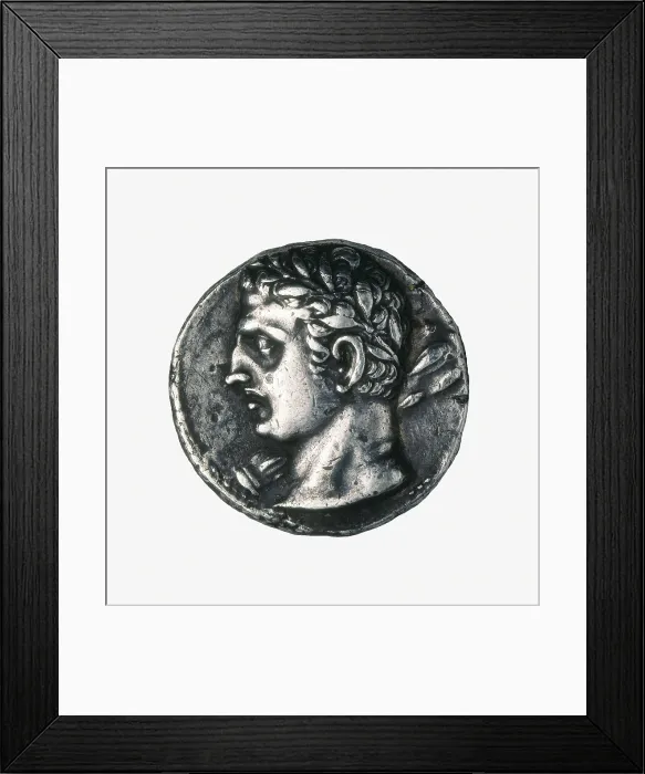 Framed Print : Carthaginian coin. Minted in Spain between 237-206 BC. Coin. AISA / Everett Collection**US SALES ONLY**