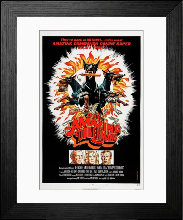 Framed Print : THE AMAZING DOBERMANS, poster, bottom: Fred Astaire, Barbara Eden, James Franciscus, 1976 Framed Print : THE AMAZING DOBERMANS, poster, bottom: Fred Astaire, Barbara Eden, James Franciscus, 1976