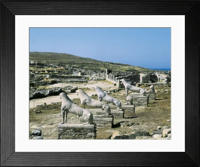 Framed Print : GREECE. SOUTHERN AEGEAN. CYCLADES. Delos. Sanctuary of Apollo. Ruins of the sanctuary of Apollo. Marble lyons (7th-6th c.), located at the end of the Procession Way Framed Print : GREECE. SOUTHERN AEGEAN. CYCLADES. Delos. Sanctuary of Apollo. Ruins of the sanctuary of Apollo. Marble lyons (7th-6th c.), located at the end of the Procession Way