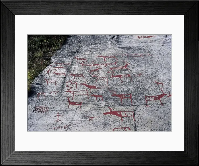 Framed Print : NORWAY. FINNMARK. Alta Petroglyphs. Scene of reindeer taming. Conducting the cattle. Neolithic art. Cave. AISA / Everett Collection**US SALES ONLY** Framed Print : NORWAY. FINNMARK. Alta Petroglyphs. Scene of reindeer taming. Conducting the cattle. Neolithic art. Cave. AISA / Everett Collection**US SALES ONLY**
