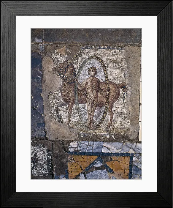 Framed Print : TUNISIA. Carthage. House of Horses. Opus tessellatum with equestrian scene. Roman art. Mosaic. AISA / Everett Collection**US SALES ONLY**