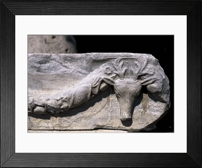 Framed Print : GREECE. NORTHERN AEGEAN. SAMOS. Pithagorion. Roman bats. Relief with a head of a deer. Roman art. Relief. AISA / Everett Collection**US SALES ONLY**