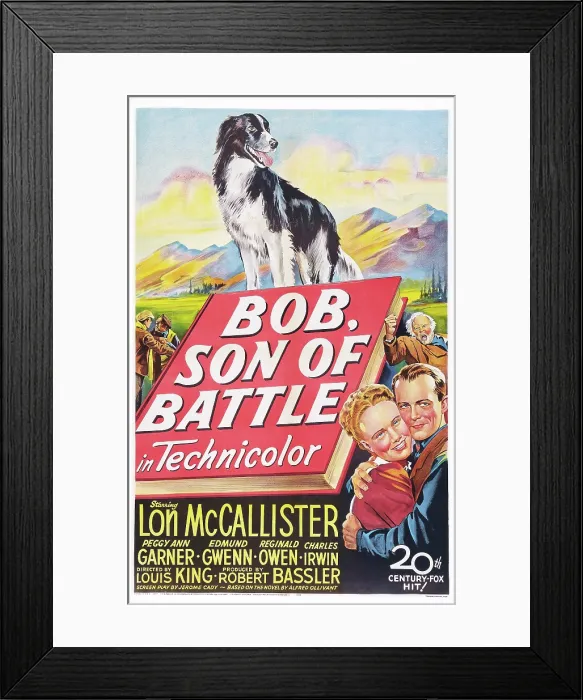 Framed Print : BOB, SON OF BATTLE, (aka THUNDER IN THE VALLEY), poster art, right from top: Edmund Gwenn, Peggy Ann Garner, Lon McCallister, 1947. TM and Copyright 20th Century Fox Film Corp