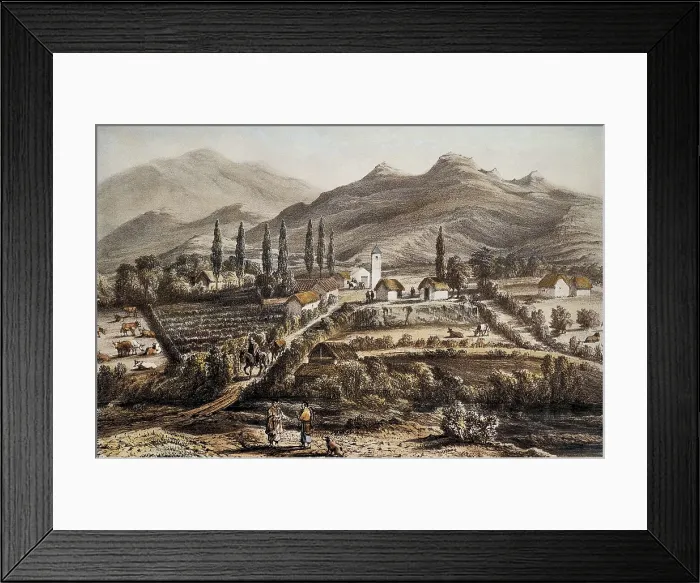 Framed Print : Chile (1837). Cogoti. Litography. AISA / Everett Collection**US SALES ONLY**