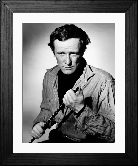 Framed Print : THE WRECK OF THE MARY DEARE, Richard Harris, 1959 Framed Print : THE WRECK OF THE MARY DEARE, Richard Harris, 1959