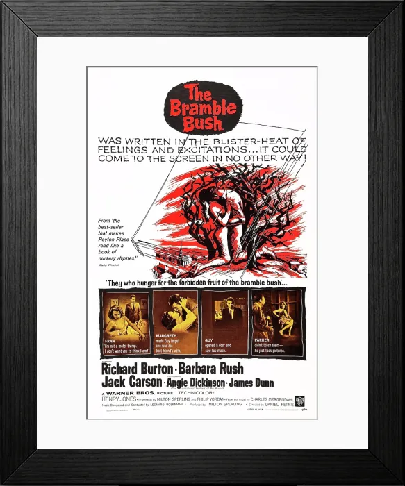 Framed Print : THE BRAMBLE BUSH, US poster art, left insert: Angie Dickinson, Richard Burton; second insert: Barbara Rush