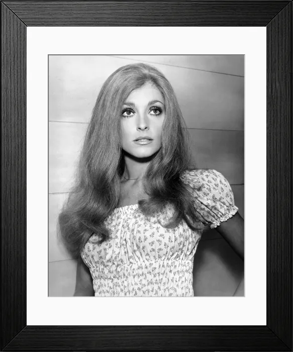 Framed Print : THE WRECKING CREW, Sharon Tate, 1969