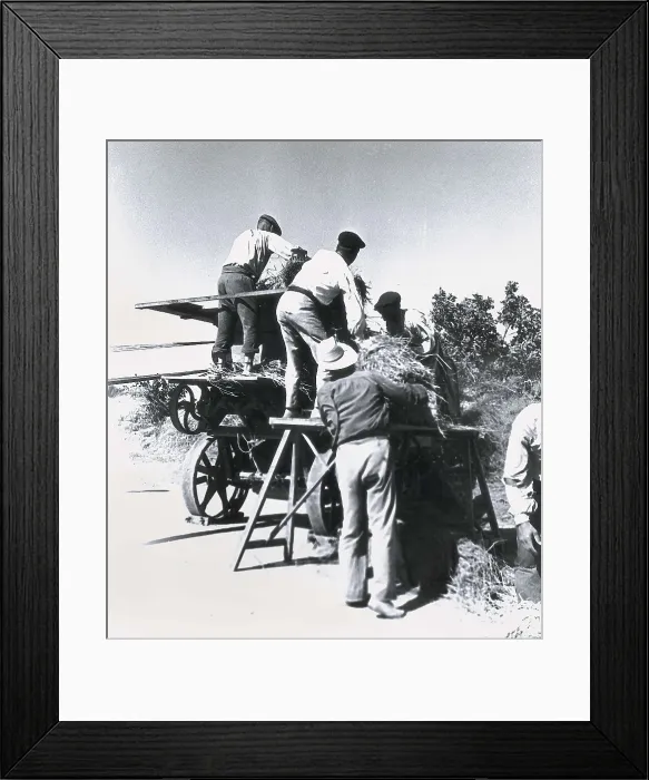 Framed Print : Spanish Civil War (1936-1939). Collectivization of rice in Silla, Valencia (July-August 1937). SPAIN. Madrid. National Historical Archive of Madrid