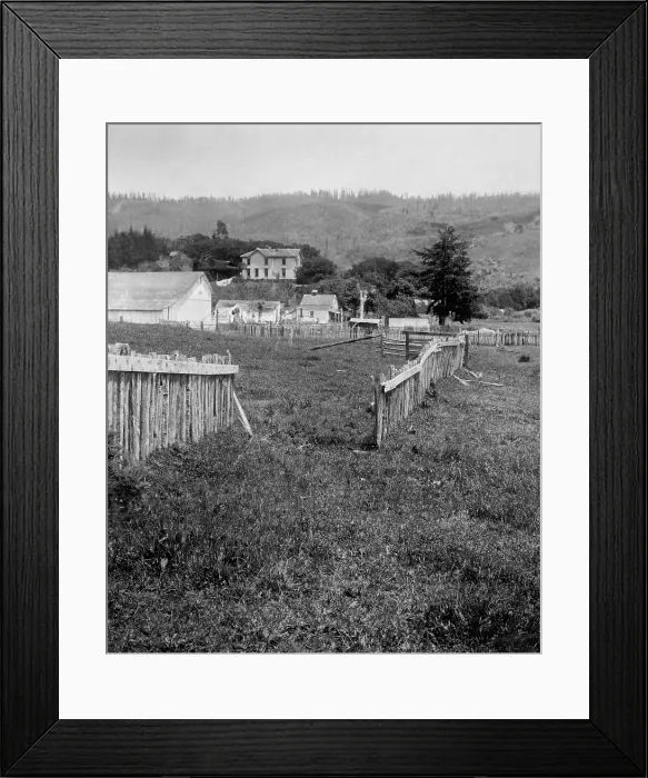 Framed Print : A fence was displaced 8.5 feet near the San Andreas Fault after the April 1906 earthquake. Photo was made a mile northwest of Woodville, California in 1906 (BSLOC_2017_17_9)