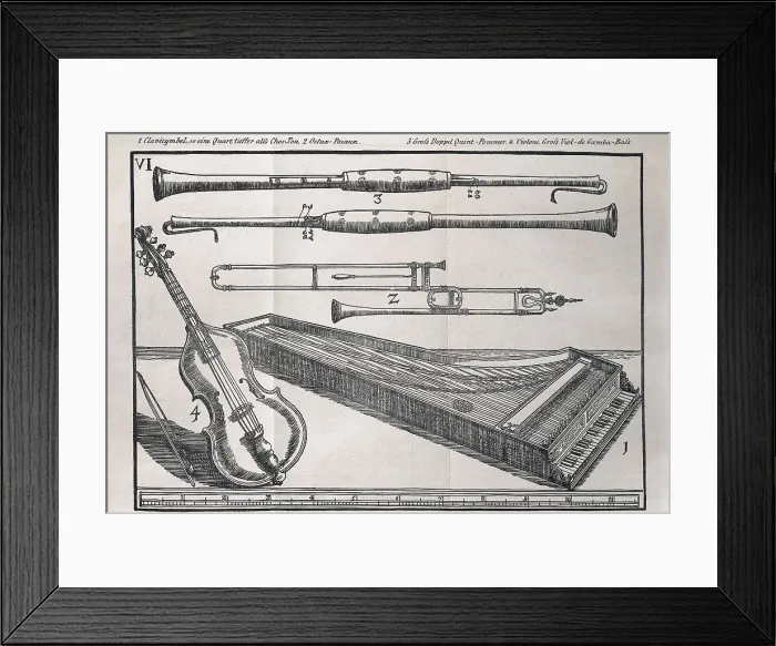 Framed Print : Praetorius, Michael (1571-1621). 'Theatrum Instrumentorum' from the work 'Sintagma Musicum' by Michael Praetorius (1620)