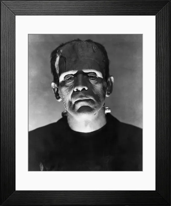 Framed Print : BRIDE OF FRANKENSTEIN, Boris Karloff, 1935