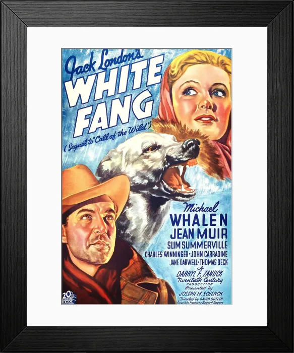 Framed Print : WHITE FANG, US poster art, from left: Michael Whalen, Lightning the Wonder Dog, Jean Muir, 1936. TM & copyright 20th Century Fox Film Corp Framed Print : WHITE FANG, US poster art, from left: Michael Whalen, Lightning the Wonder Dog, Jean Muir, 1936. TM & copyright 20th Century Fox Film Corp