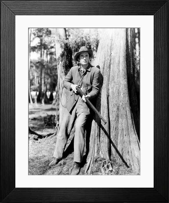 Framed Print : THE YEARLING, Gregory Peck, 1946