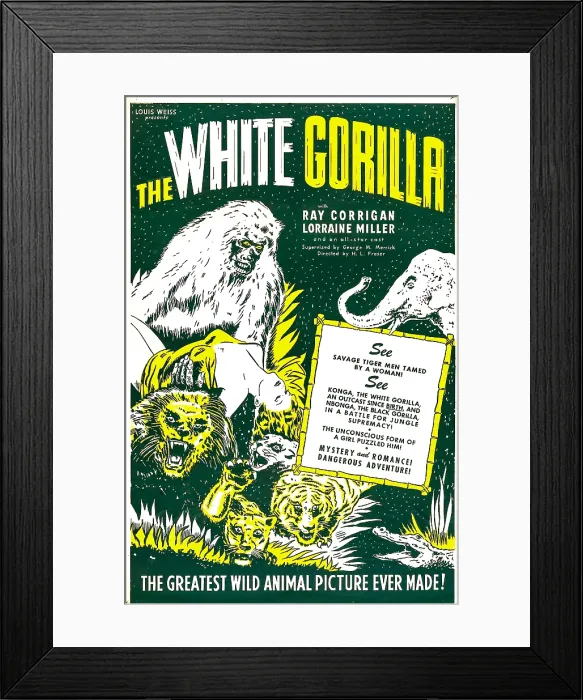 Framed Print : THE WHITE GORILLA, US poster, 1945