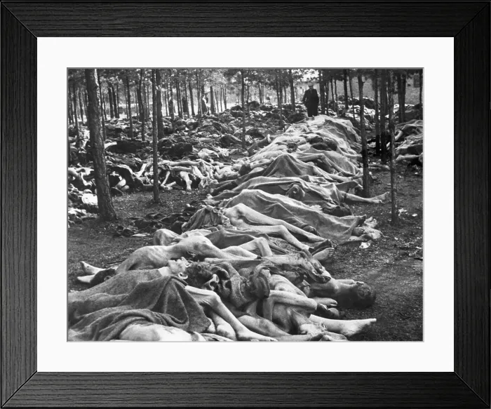 Framed Print : Rows of bodies at Nazi-German Belsen Concentration Camp on April 15, 1945