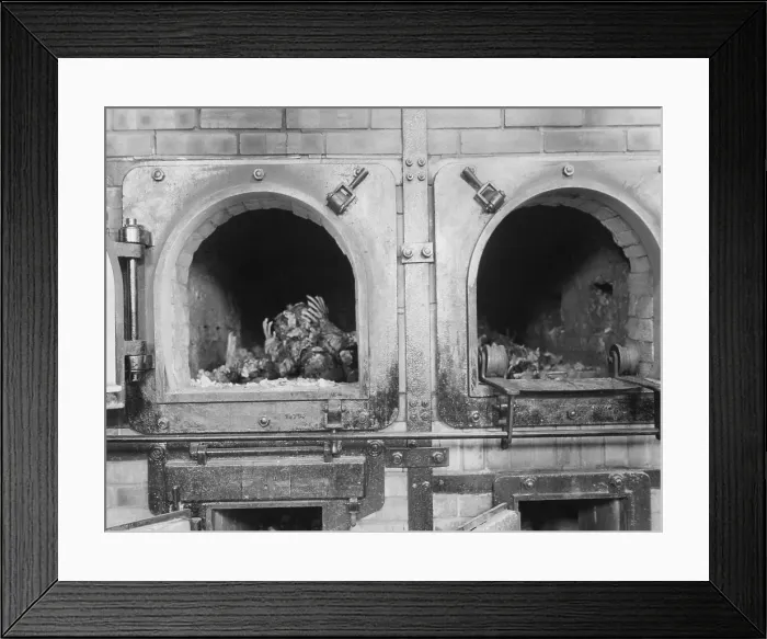 Framed Print : Cremation ovens at the Buchenwald concentration camp near Jena, Germany, April 16, 1945