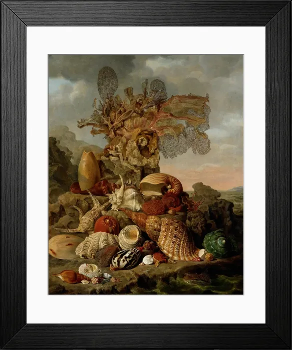 Framed Print : Shells and Marine Plants, by Henricus Franciscus Wiertz, 1809, Dutch painting, oil on canvas Framed Print : Shells and Marine Plants, by Henricus Franciscus Wiertz, 1809, Dutch painting, oil on canvas