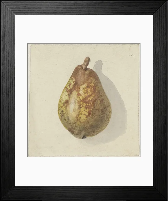 Framed Print : Pear, by Gerardina Jacoba van de Sande Bakhuyzen, c.1850-80, Dutch watercolor painting (BSLOC_2016_2_279)