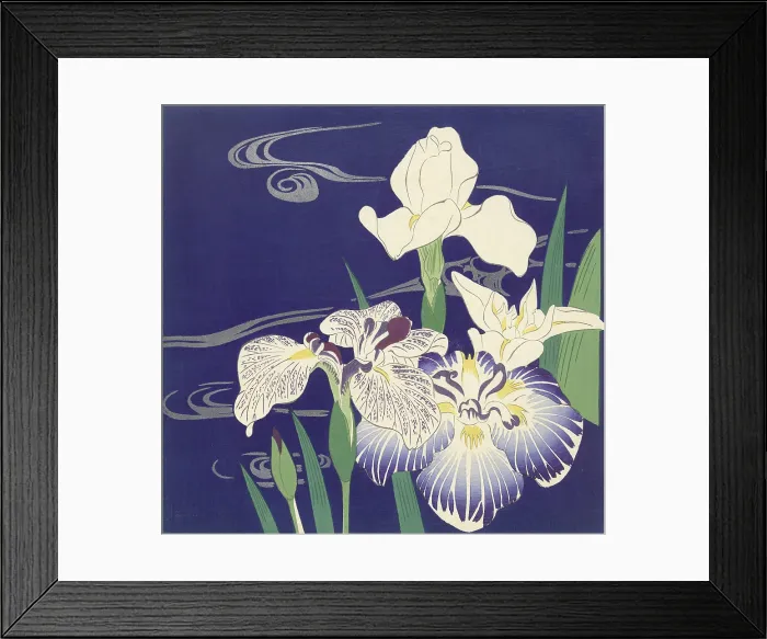 Framed Print : Irises, by Tsukioka Kogyo, c. 1890-1900, Japanese print, color woodcut. Blooming irises against a deep blue background, depicting water (BSLOC_2016_2_283)