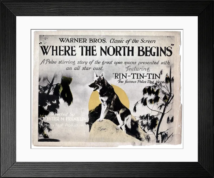 Framed Print : WHERE THE NORTH BEGINS, Rin Tin Tin, 1923