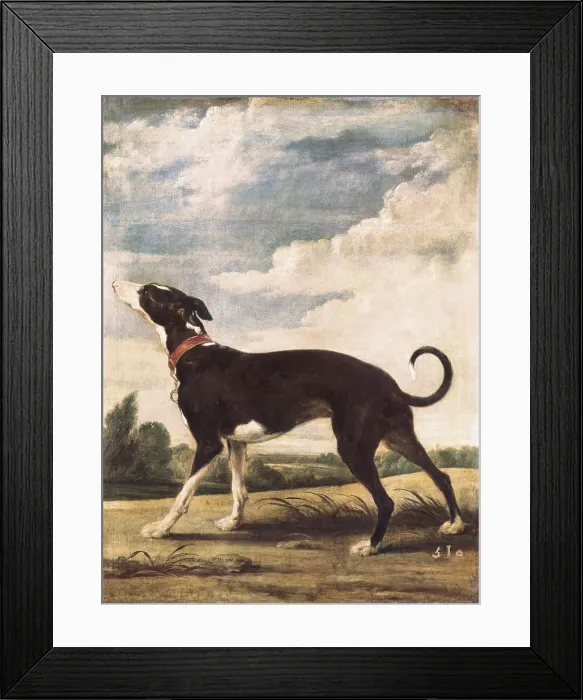 Framed Print : VOS, Paul de (1596-1678). A Greyhound lying in wait. 1610 - 1678. Flemish art. Oil on canvas. SPAIN. Madrid. Prado Museum. AISA / Everett Collection**US SALES ONLY**