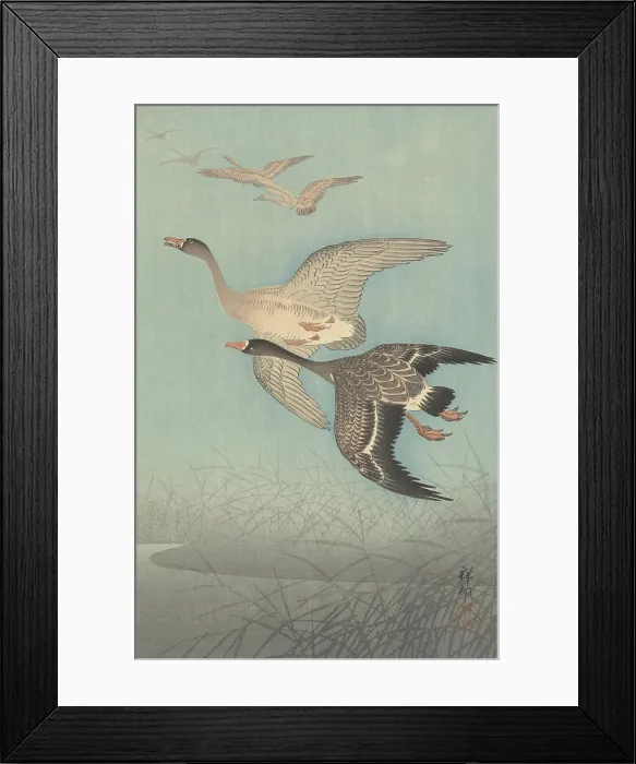 Framed Print : White-Fronted Geese in Flight, by Ohara Koson, 1925-36, Japanese print, color woodcut (BSLOC_2016_3_288)