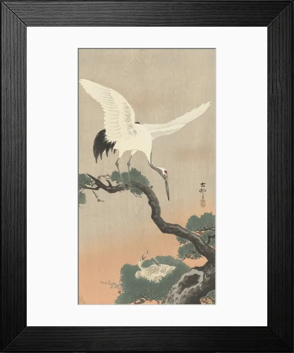 Framed Print : Japanese Crane on Pine Branch, by Ohara Koson, 1900-30, Japanese print, color woodcut (BSLOC_2016_3_289)