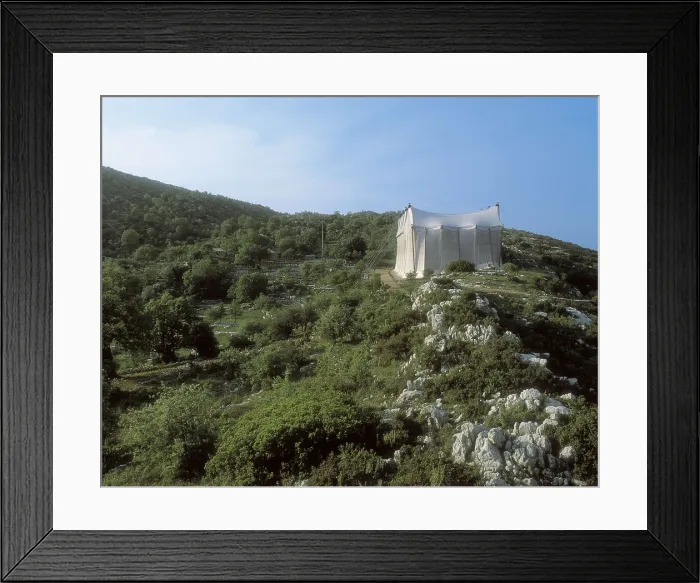 Framed Print : Temple of Apollo Epikourios at Bassae. 450 BC. GREECE. PELOPONNESE. ARCADIA. Bassae. Classical Greek art. AISA / Everett Collection**US SALES ONLY** Framed Print : Temple of Apollo Epikourios at Bassae. 450 BC. GREECE. PELOPONNESE. ARCADIA. Bassae. Classical Greek art. AISA / Everett Collection**US SALES ONLY**