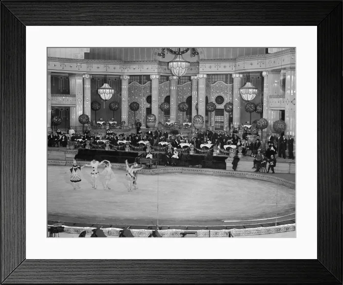 Framed Print : New York Hippodrome was the largest theater NYC theatre when it opened in 1909. It provided venue for circus animals, diving horses, opulent sets, and 500-member choruses