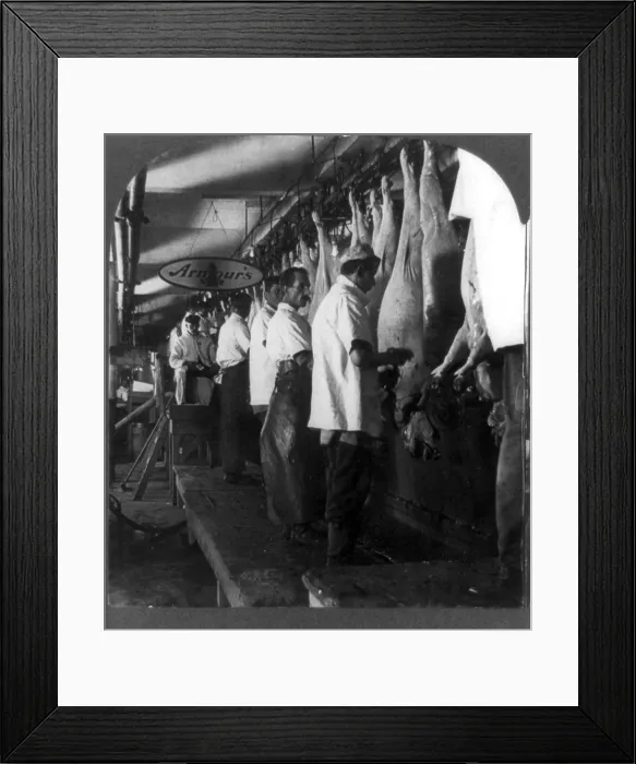 Framed Print : Hog scraping rail. Meatpacking plant worker's remove hair from hog carcasses. Armour's Packing Plant, Chicago, 1909
