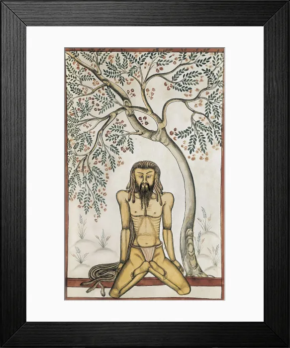 Framed Print : Mughal's Book. 17th c. Yoga position. Hindu art. Miniature Painting. ITALY. Venice. Biblioteca nazionale marciana (St. Mark's Library) Framed Print : Mughal's Book. 17th c. Yoga position. Hindu art. Miniature Painting. ITALY. Venice. Biblioteca nazionale marciana (St. Mark's Library)