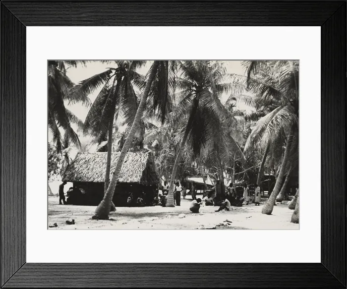 Framed Print : Bikini Islanders near thatched roof building shaded by palm trees, ca. March 1946. 167 islanders from 40 families were required to move to Rongerik Atoll by U.S