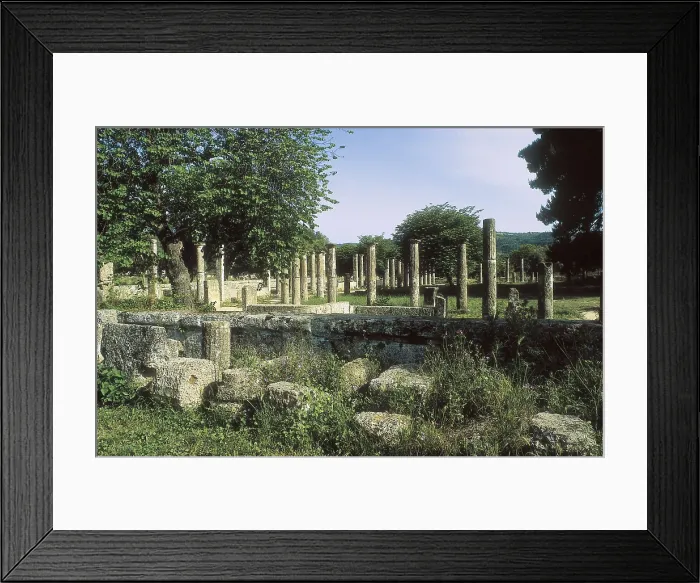 Framed Print : GREECE. WESTERN GREECE. ELIS. Olympia. Remains of the columns of the palestra or gymnasium (3rd c. BC). Hellenistic art. AISA / Everett Collection**US SALES ONLY**