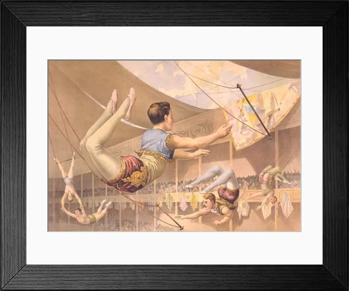 Framed Print : Five male trapeze artists performing high above the audience, in a large circus tent, 1890 Framed Print : Five male trapeze artists performing high above the audience, in a large circus tent, 1890