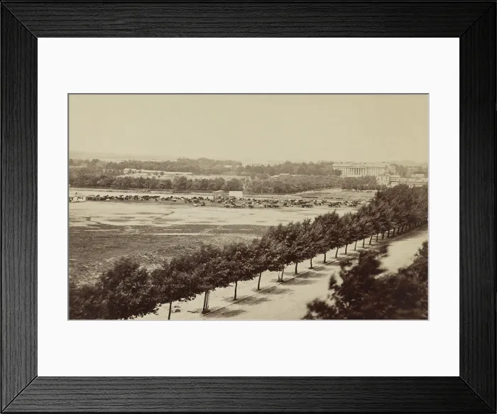 Framed Print : US Civil War, 1865. Cattle graze in Washington, DC, in April, 1865. The herd provided beef for the soldiers (BSLOC_2018_8_174)
