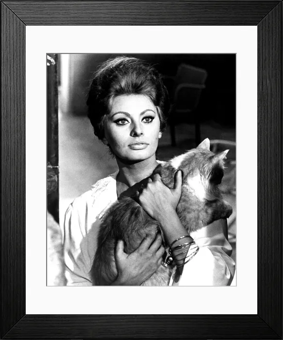 Framed Print : YESTERDAY, TODAY AND TOMORROW, (aka IERI, OGGI, DOMANI), Sophia Loren, 1963 Framed Print : YESTERDAY, TODAY AND TOMORROW, (aka IERI, OGGI, DOMANI), Sophia Loren, 1963
