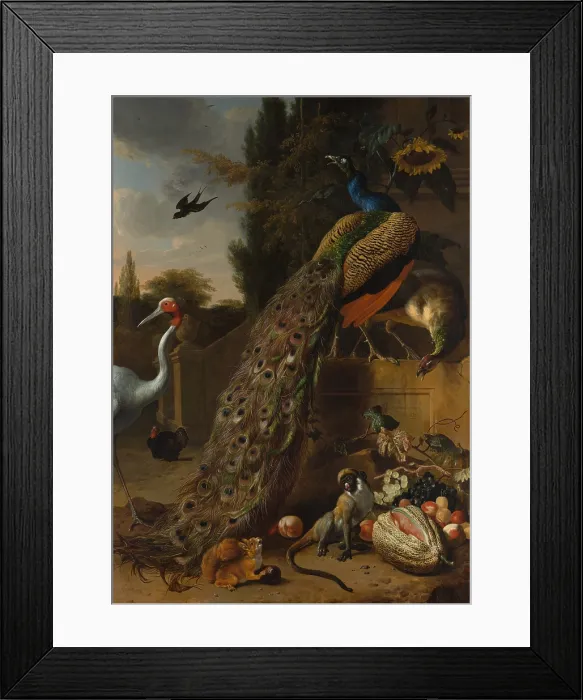 Framed Print : PEACOCKS, by Melchior d Hondecoeter, 1683, Dutch painting, oil on canvas. Exotic birds, a monkey and squirrel populate cultivated landscape with architecture