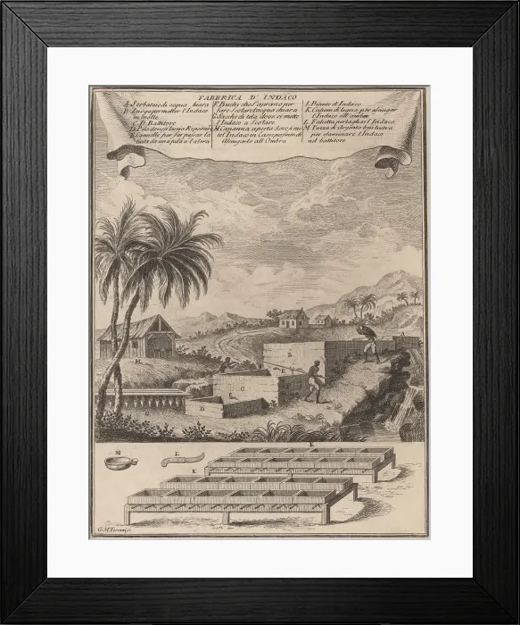 Framed Print : Three enslaved Africans work at Indigo dye processing. The plant-based dye is concentrated in successive evaporation pools
