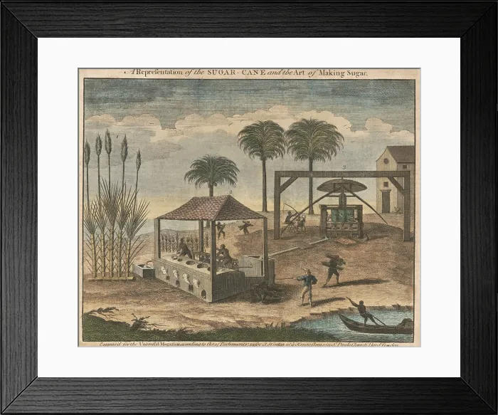 Framed Print : Sugarcane processing in the West Indies, possibly Haiti, where a white overseer directs the work of enslaved African Americans in 1749 engraving
