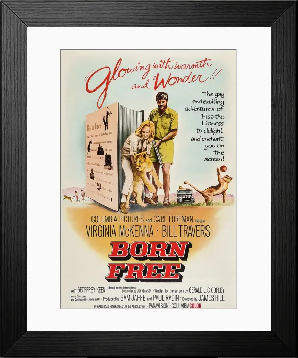 Framed Print : BORN FREE, US poster art, from left: Virginia McKenna, Elsa the Lion, Bill Travers, 1966 Framed Print : BORN FREE, US poster art, from left: Virginia McKenna, Elsa the Lion, Bill Travers, 1966