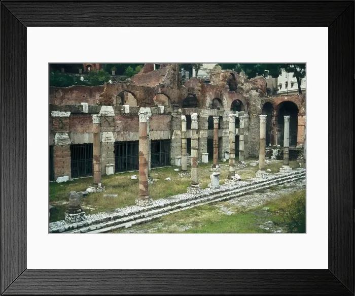 Framed Print : ITALY. LAZIO. Rome. Roman Forum. Caesar's Forum, built in 46 BC. Roman art. Republican period. AISA / Everett Collection**US SALES ONLY** Framed Print : ITALY. LAZIO. Rome. Roman Forum. Caesar's Forum, built in 46 BC. Roman art. Republican period. AISA / Everett Collection**US SALES ONLY**