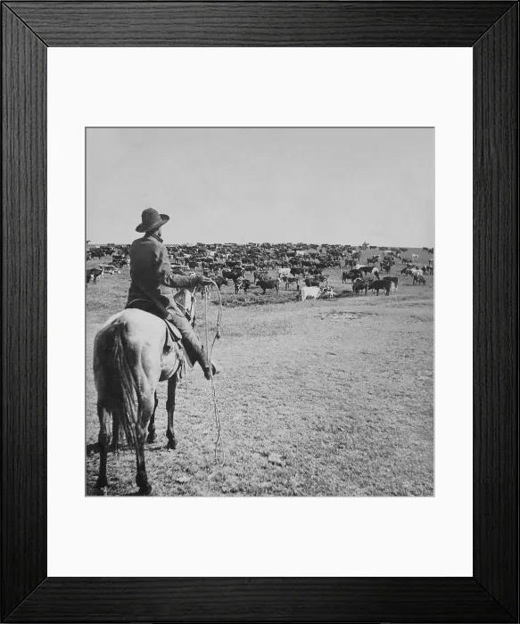 Framed Print : Mounted cowboy holds lasso on the open range on the Sherman Ranch, Genesee, Kansas. His fellow cowpunchers are positioned on the horizon, ca. 1902 (BSLOC_2020_1_54) Framed Print : Mounted cowboy holds lasso on the open range on the Sherman Ranch, Genesee, Kansas. His fellow cowpunchers are positioned on the horizon, ca. 1902 (BSLOC_2020_1_54)