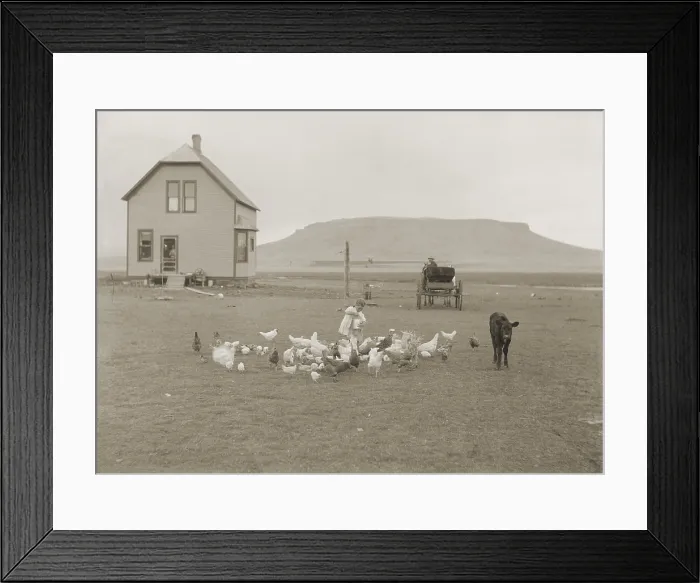 Framed Print : Settlers from Benson, Minnesota, on the Hancock homestead, live a new house. It is sited on flat land, with plateau ridge in the distance Framed Print : Settlers from Benson, Minnesota, on the Hancock homestead, live a new house. It is sited on flat land, with plateau ridge in the distance