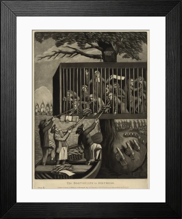 Framed Print : American Revolution
