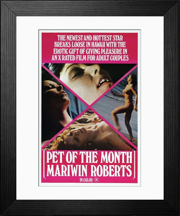 Framed Print : PET OF THE MONTH, US poster, Mariwin Roberts, 1978. Wonderful World of Video / courtesy Everett Collection Framed Print : PET OF THE MONTH, US poster, Mariwin Roberts, 1978. Wonderful World of Video / courtesy Everett Collection