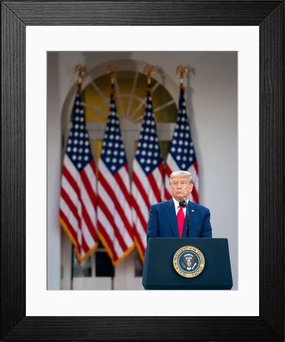 Framed Print : President Donald Trump delivers an update on Operation Warp Speed, the development of vaccine against COVID-19, Nov. 13, 2020