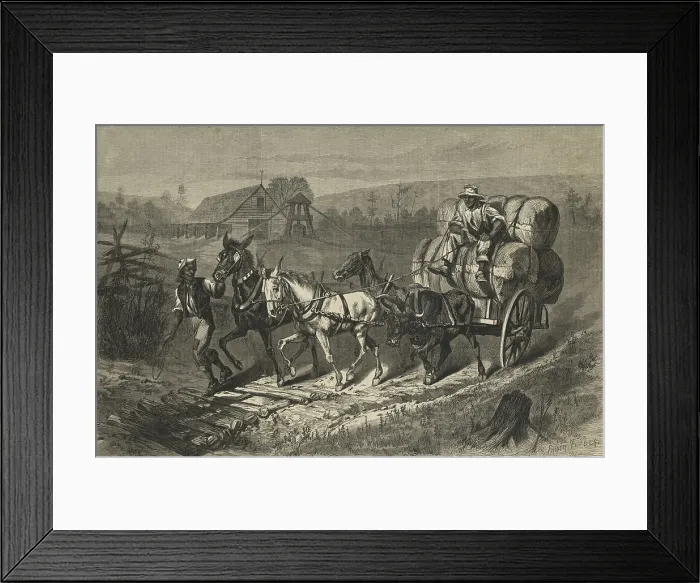 Framed Print : African Americas in North Carolina take three market ready bales of cotton from a ginning and bailing barn