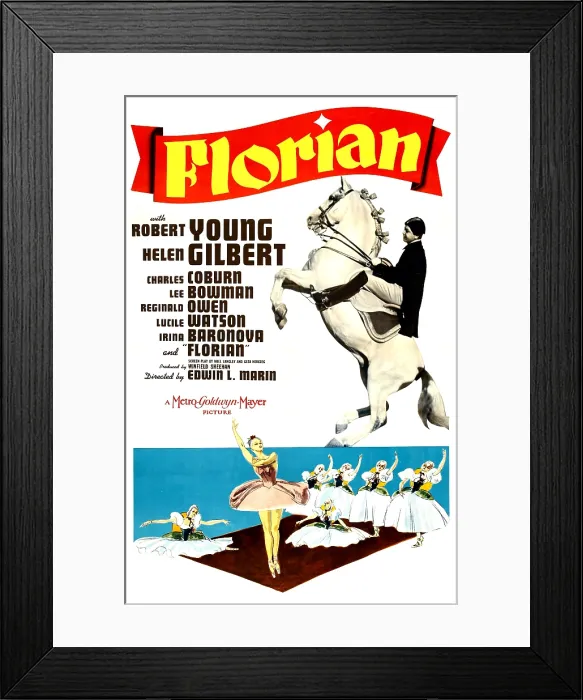 Framed Print : FLORIAN, US poster, top right: Robert Young, 1940 Framed Print : FLORIAN, US poster, top right: Robert Young, 1940